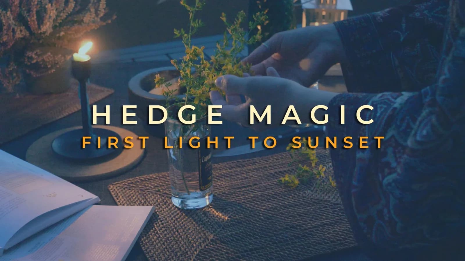 Hedge Magic — First Light to Sunset