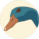 The Duck Sight Studio logo