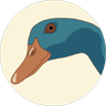 The Duck Sight Studio logo