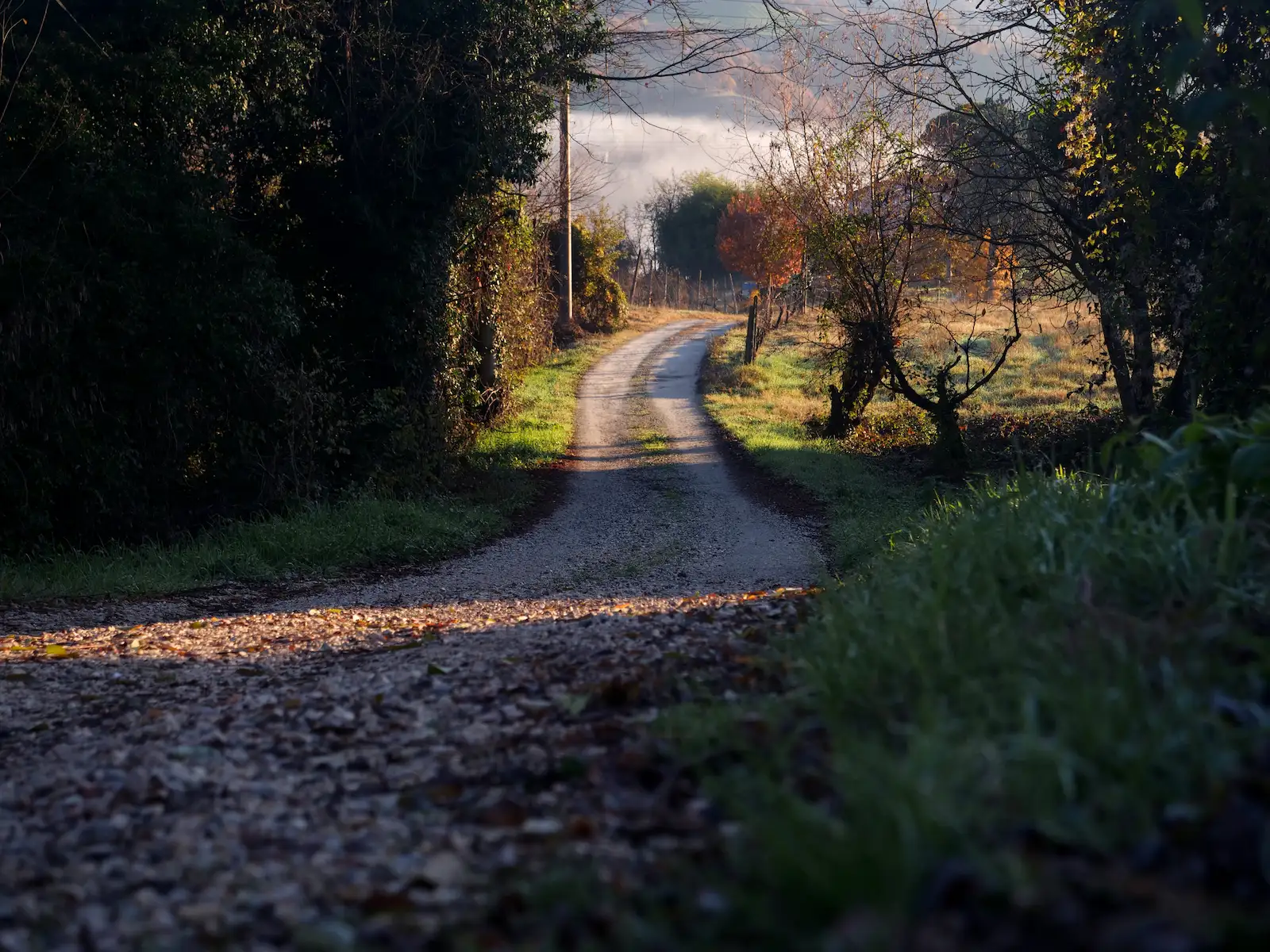 Strada di campagna